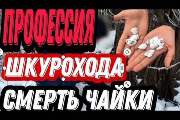 Кракен официальное зеркало 2024