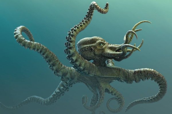 Kraken ссылка