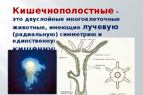 Ссылка на кракен зеркало