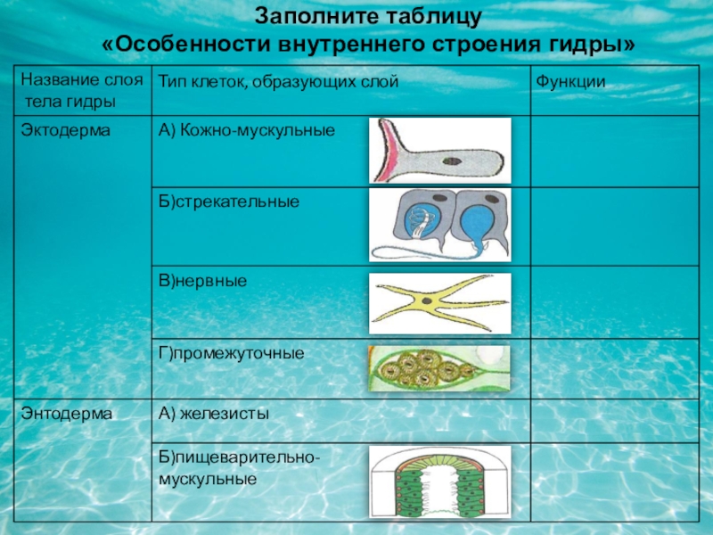 Кракен открылся